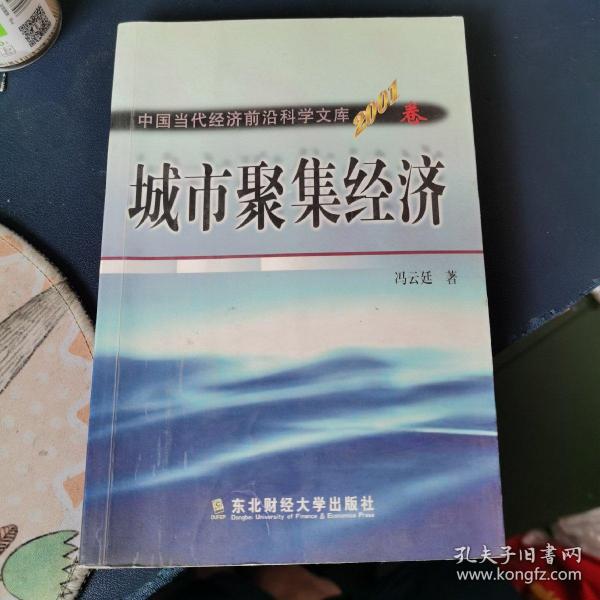 城市聚焦经济:一般理论及其对中国城市化问题的应用分析