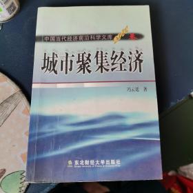 城市聚焦经济:一般理论及其对中国城市化问题的应用分析