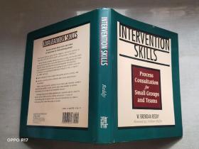 Intervention Skills: Process Consultation for Small Groups and Teams