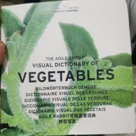 英文原版书 The Agile Rabbit Visual Dictionary of Vegetables 有光盘