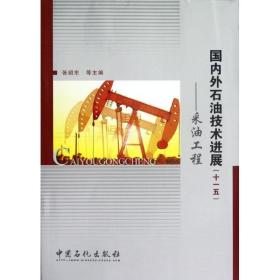 采油工程/外石油技术进展十一五 能源科学 张绍东  新华正版