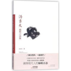 汤吉夫幽默小说集 中国现当代文学 汤吉夫  新华正版