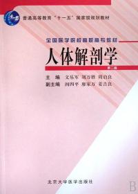 人体解剖学(全国医学院校高职高专教材)