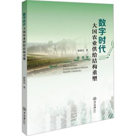 数字时代大国农业供给结构重塑 9787306079374 谢瑾岚 中山大学出版社