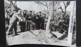 1973年于会泳照片在日本访问植树