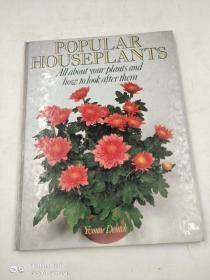 Popular Houseplants