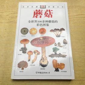 蘑菇 全世界500多种蘑菇的彩色图鉴**大32开【32开--4】