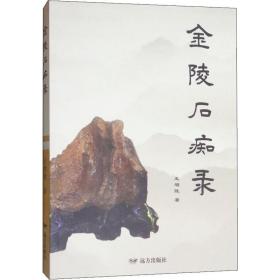 金陵石痴录 中国古典小说、诗词 王增陵