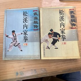 武当秘传松溪内家拳.上下册两册合售 有点脏污不影响阅读