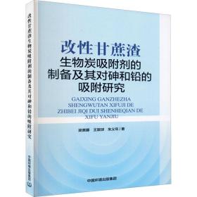 改甘蔗渣生物炭吸附剂的制备及其对砷和铅的吸附研究 环境科学 梁美娜,王敦球,朱义年