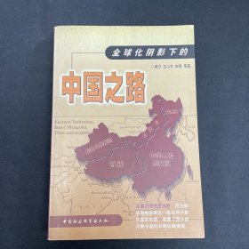 全球化阴影下的中国之路
