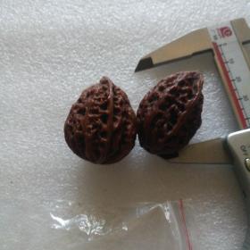 自然玩红的东北秋子核桃40