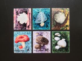 T66 食用菌-新邮票