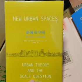 新城市空间  城市理论与尺度问题