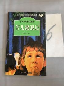 苦儿流浪记——中外文学作品赏析（以图片为准）。