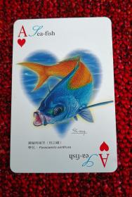 台湾林文华先生手绘原版PVC“鲸与鱼”扑克