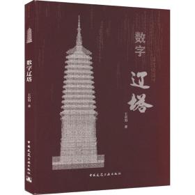 新华正版 数字辽塔 王卓男 9787112244874 中国建筑工业出版社