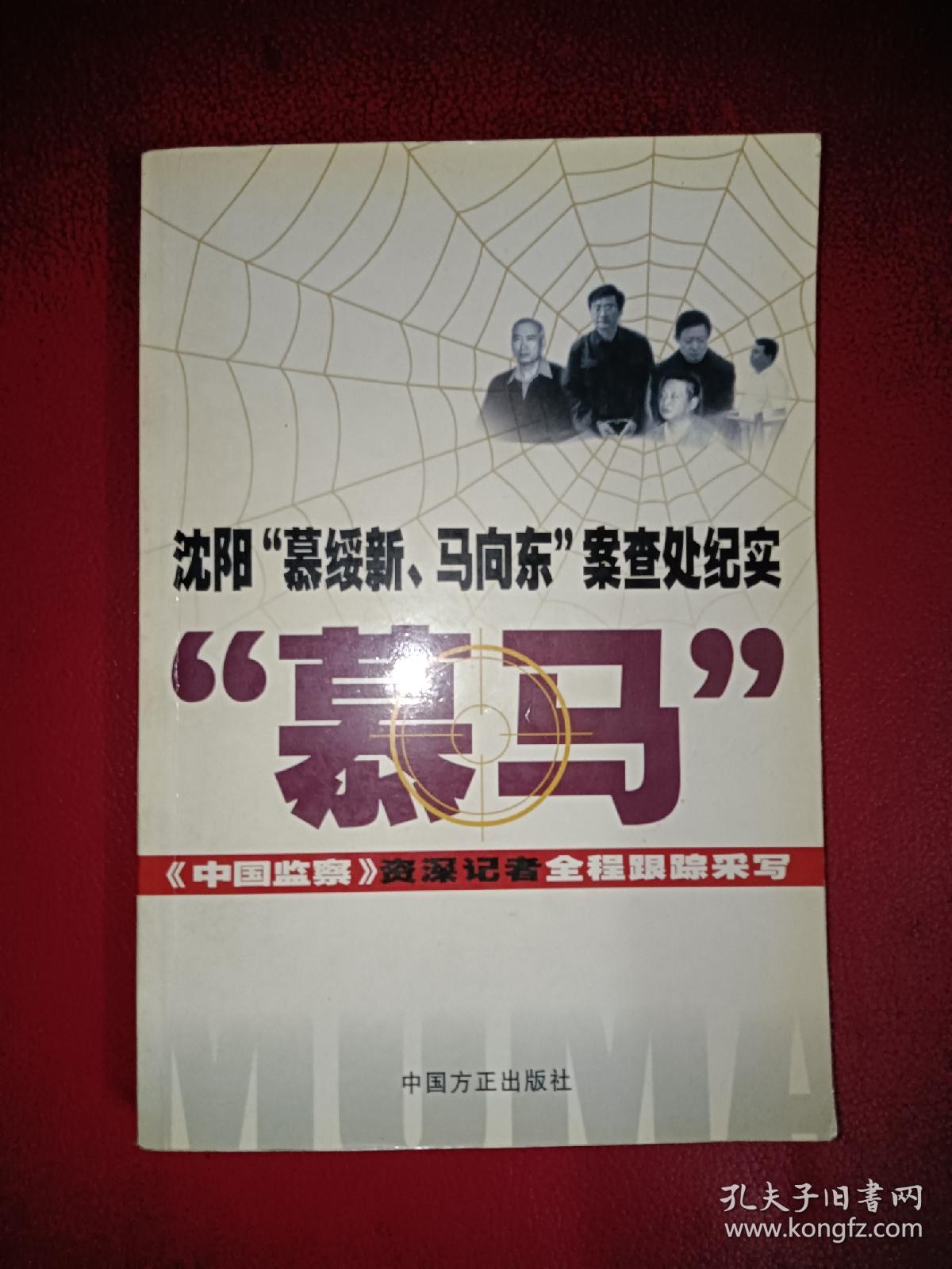 沈阳慕绥新马向东案查处纪实