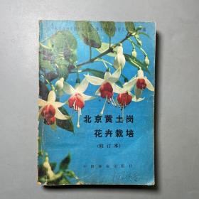 北京黄土岗 花卉栽培