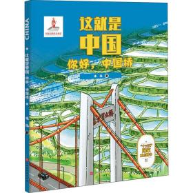 你好,中国桥 交通运输 朱泓 新华正版