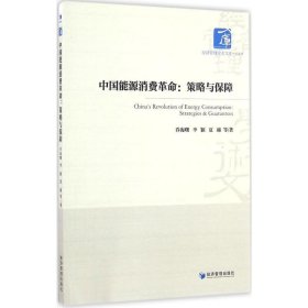【正版书籍】中国能源消费革命：策略与保障