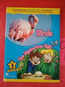 Macmillan Children'S Readers Birds International Level 3
