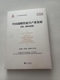 中国战略性新兴产业发展：机制、路径与政策