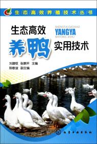 生态高效养鸭实用技术/生态高效养殖技术丛书
