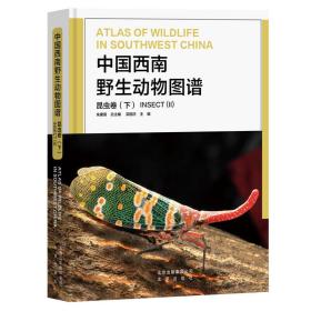 中国西南野生动物图谱 昆虫卷（下）