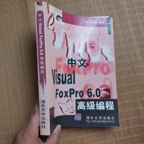 中文 Visual foxpro 6.0 高级编程