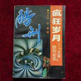 疯狂岁月 酷刑实录