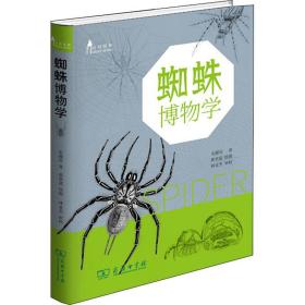 蜘蛛博物学 文教科普读物 朱耀沂