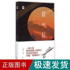 燃烧的月亮 中国历史 王松 新华正版