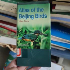 北京鸟类图鉴（Atlas of the Beijing Birds）英文版