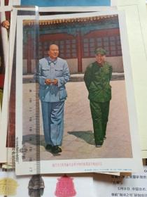 我们伟大的领袖毛主席和他的亲密战友林彪同志