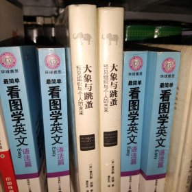 大象与跳蚤-预见组织与个人的未来