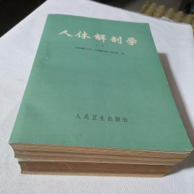 人体解剖学上下册    1977年一版一印  毛主席语录版    上册有彩图24页，下册有彩图152页