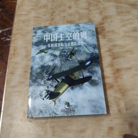 中国上空的鹰 : 苏联援华航空志愿队战史 : 1937—1941