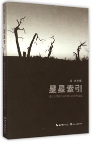 正版书星星索引武汉文学院作家年度(2014)作品选