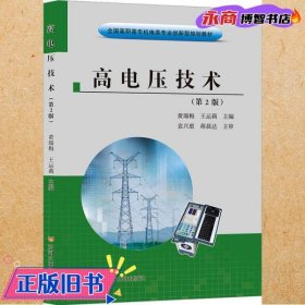 高电压技术 第2版二版 黄瑞梅 王运莉主编 黄河水利出版社 9787550934245