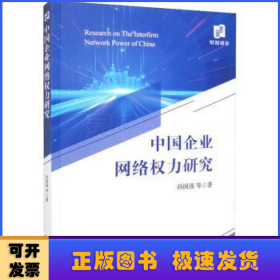 中国企业网络权力研究