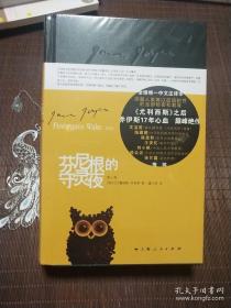 芬尼根的守灵夜（第一卷）