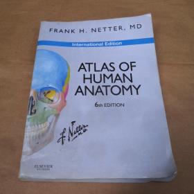 Atlas of Human Anatomy, International Edition人体解剖学图谱，国际版，第六版 英文原版