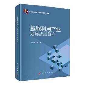 氢能利用产业发展战略研究 9787030728197 王明华 中国科技出版传媒股份有限公司