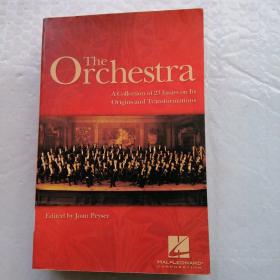 The Orchestra: A Collection of 23 Essays on Its Origins and Transformations