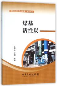 煤基活性炭/煤炭洁净利用与煤化工技术丛书