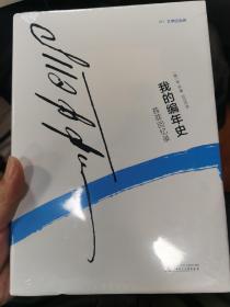 我的编年史——苔菲回忆录