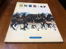 动物摄影图片资料书籍 毛驴篇 画家美术创作资料用书