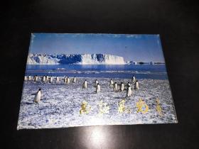 南极风光 明信片8张