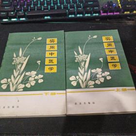 实用中医学 上下